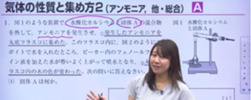 【最新】東進オンライン学校小学部・中学部を一番お得に始める裏ワザ